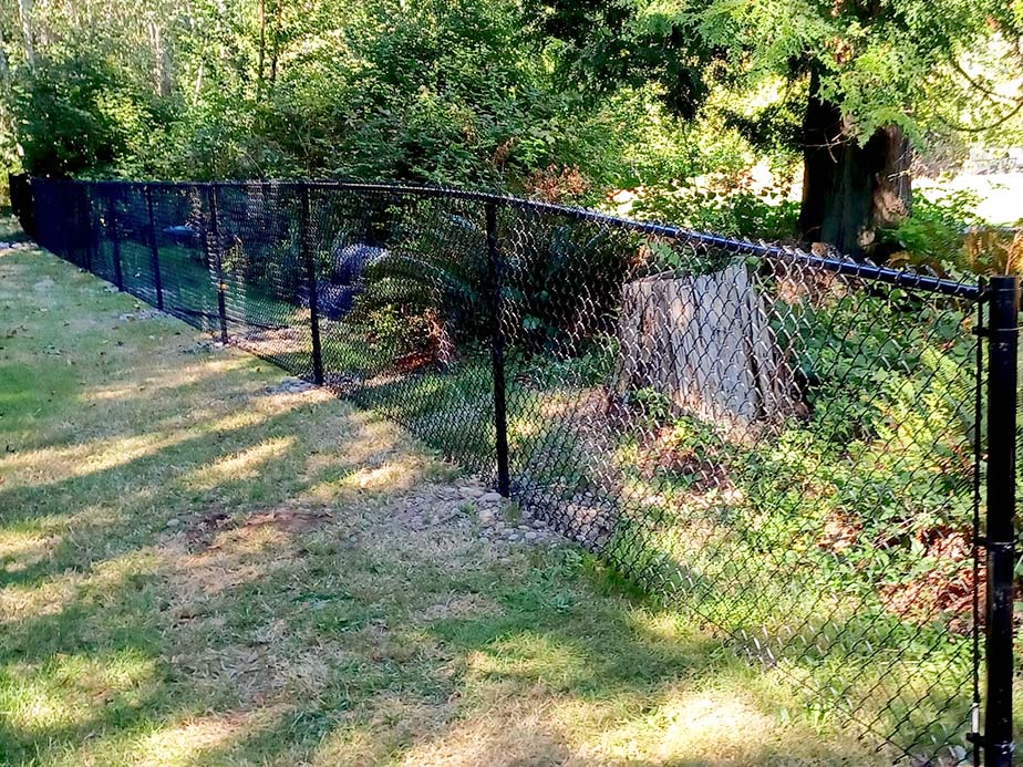 Residential Chain Link Fence Company In Bellingham Washington