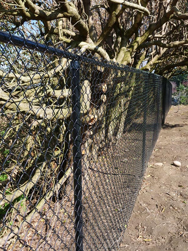 Chain Link fencing benefits in Bellingham Washington